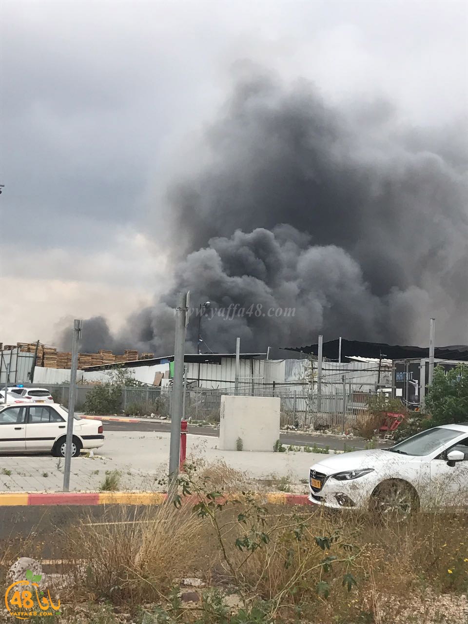 firbus eastyaffa (8).jpg